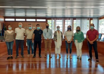 Varios ayuntamientos de Gran Canaria solicitan un protocolo sobre palmeras, lo explica Juan Ramón Fernández