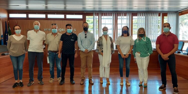 Varios ayuntamientos de Gran Canaria solicitan un protocolo sobre palmeras, lo explica Juan Ramón Fernández