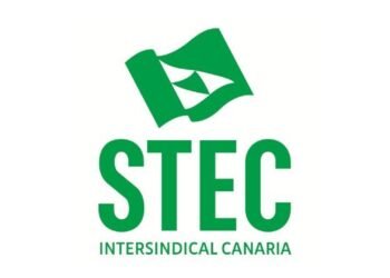 El STEC-IC acude a la Diputación del Común e Instituto de Igualdad en defensa de las docentes embarazadas