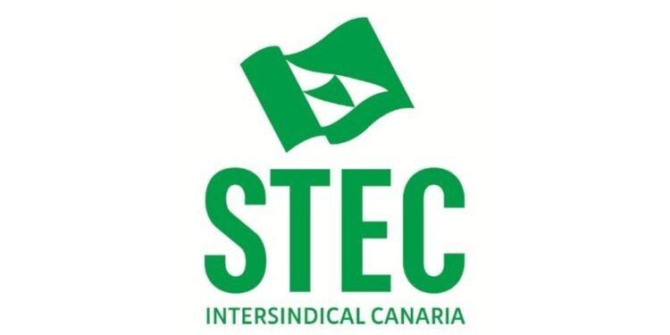 El STEC-IC acude a la Diputación del Común e Instituto de Igualdad en defensa de las docentes embarazadas