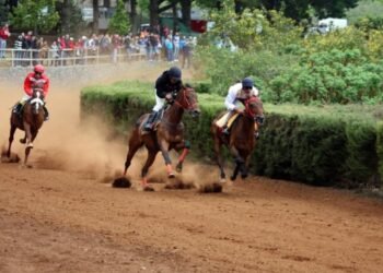 El Sábado 23 de abril vuelven las carreras al hipódromo de Valleseco