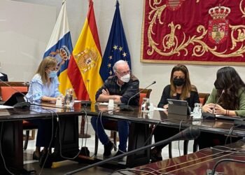 La Plataforma por la Fibra Óptica en Telde llega al Parlamento de Canarias