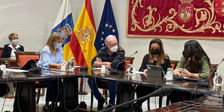 La Plataforma por la Fibra Óptica en Telde llega al Parlamento de Canarias